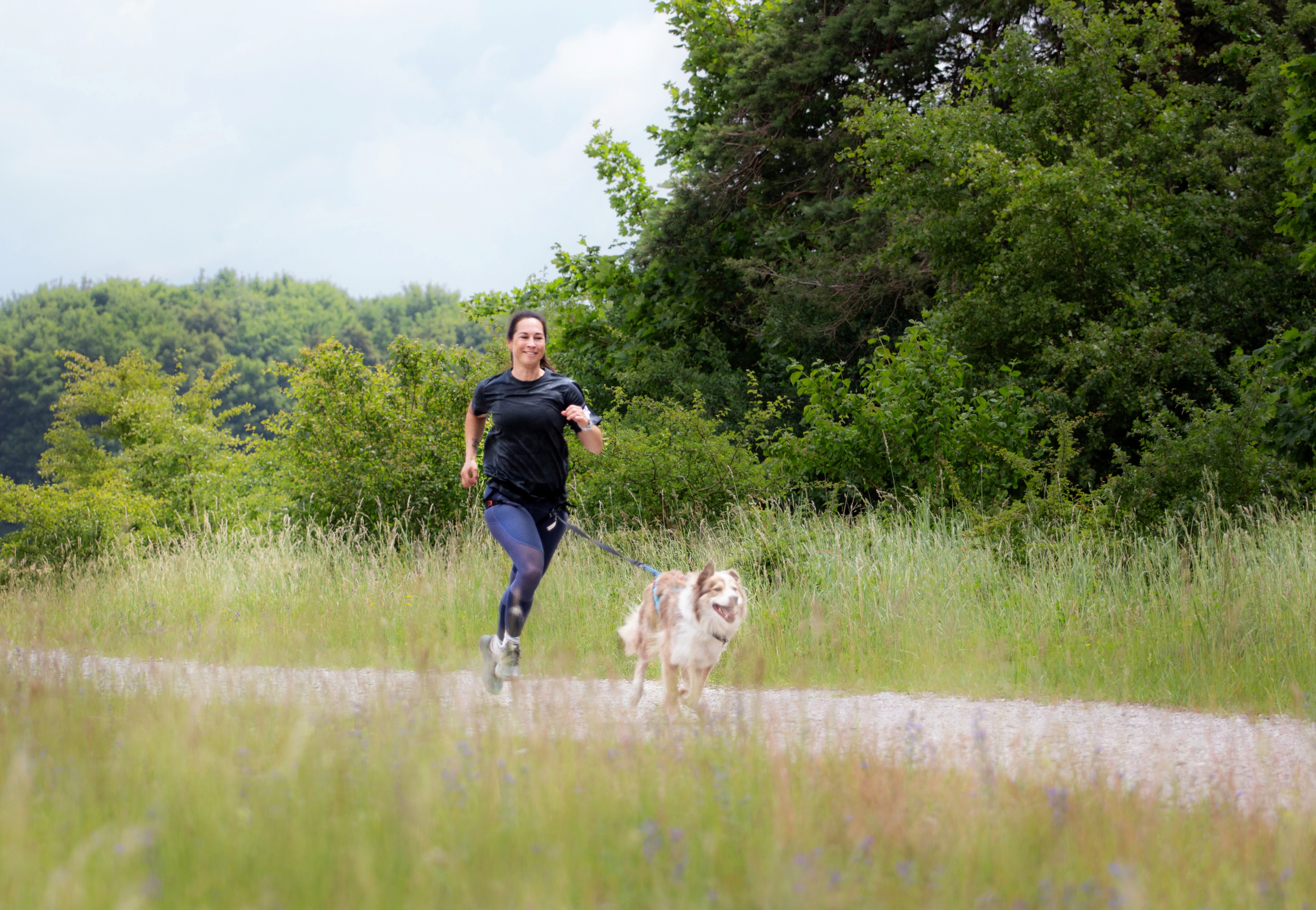 Hunde-Abenteuer-Walk